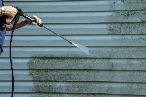 Best Pressure Washing Brick  in Buckhall, VA