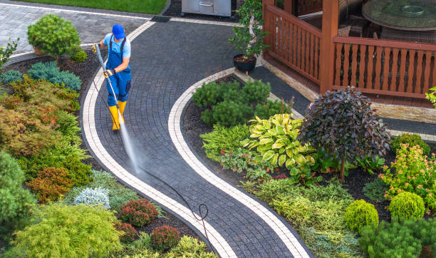 Best Sidewalk Pressure Washing  in Buckhall, VA