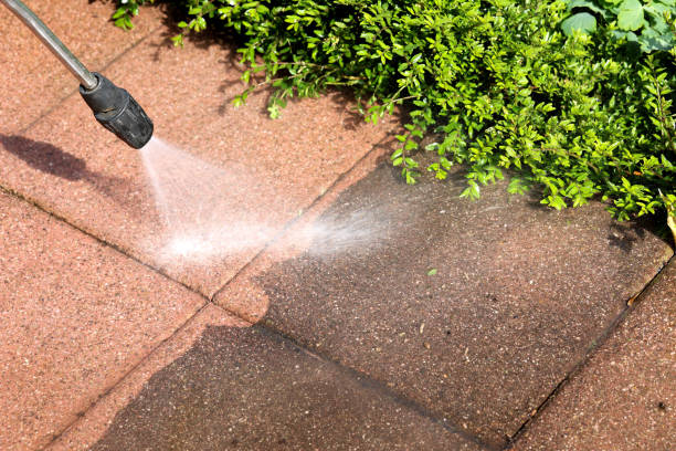 Best Sidewalk Pressure Washing  in Buckhall, VA